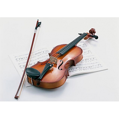 小提琴小提琴小提琴小提琴