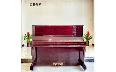 劳力士ROLEX RX300DM-2230629 A 级，9.9成新（二手）钢琴