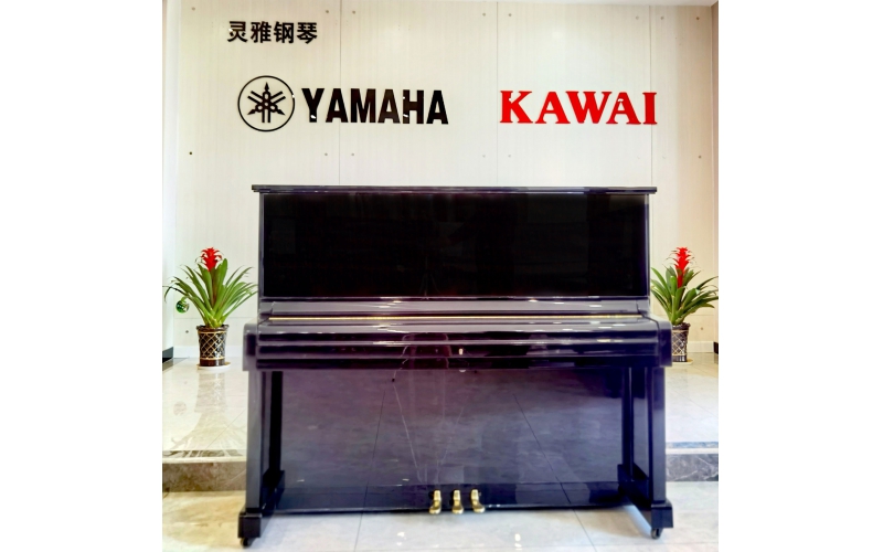 卡瓦依KAWAI BL12-913580 钢琴